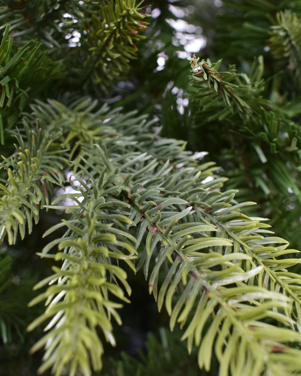 7.5ft Minnesota Pine Artificial Christmas Tree - Ideal for Festive Cheer