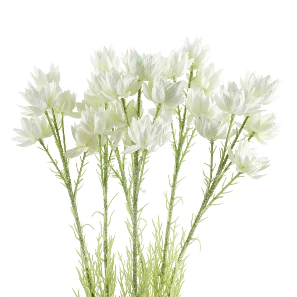 Pack of 6 x 60cm White Starflower Stems - 30 Flowers