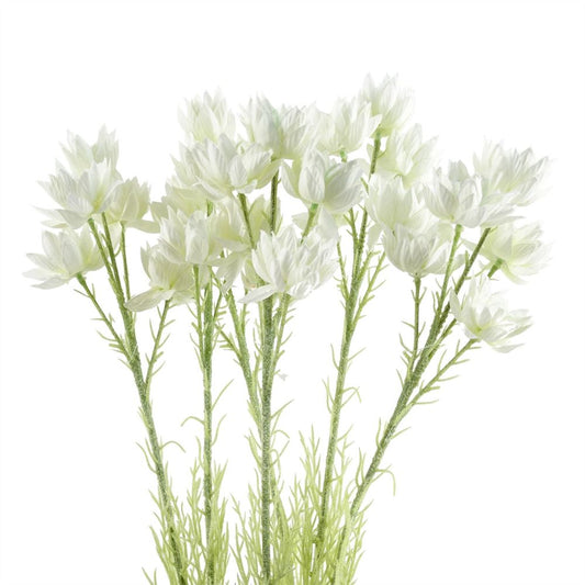 Pack of 6 x 60cm White Starflower Stems - 30 Flowers
