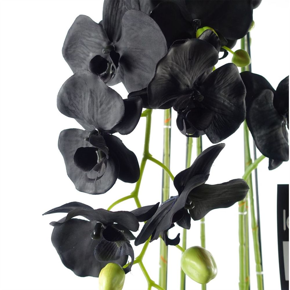 110cm Large Black Artificial Orchid Plant - 41 Real Touch Flowers