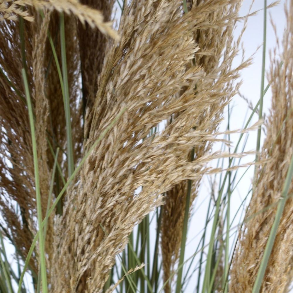 180cm Lifelike Pampas Grass Plant for a Chic and Natural Look