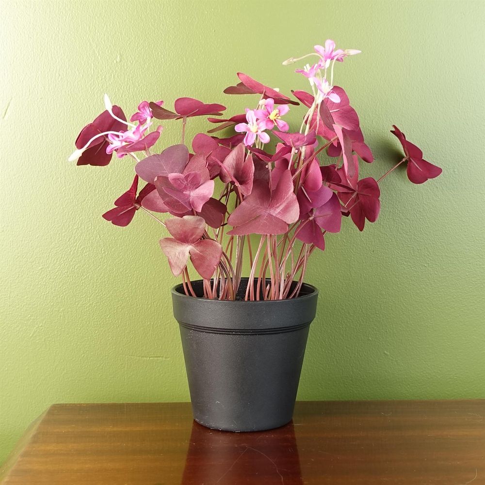 30cm Realistic Artificial Plant: Purple Shamrock with Pink Flowers, Potted