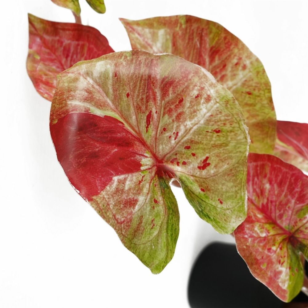 35cm Realistic Artificial Pink Splash Caladium, Perfect for Trailing Hanging Displays