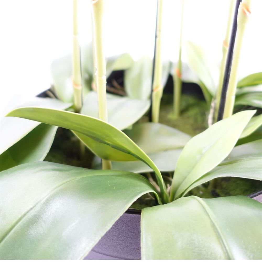 110cm Large Black Artificial Orchid Plant - 41 Real Touch Flowers