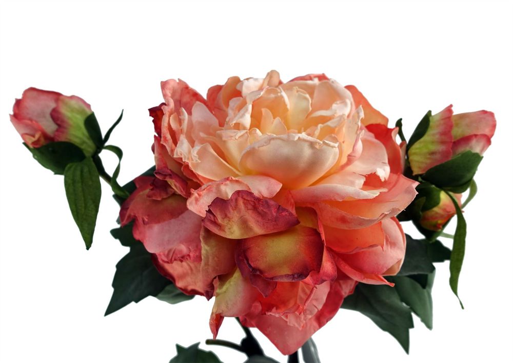 60cm Pink Artificial Peony Flower - 1 Flower, 3 Buds