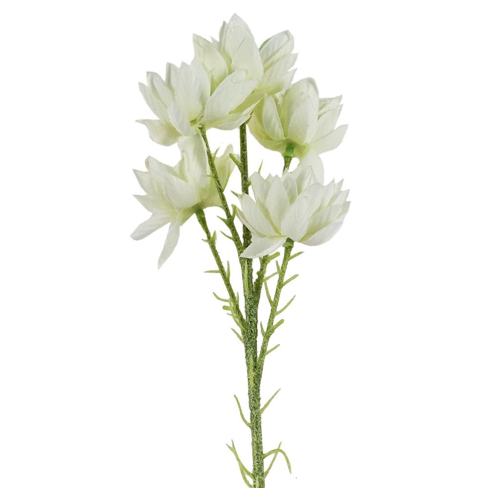 Pack of 6 x 60cm White Starflower Stems - 30 Flowers