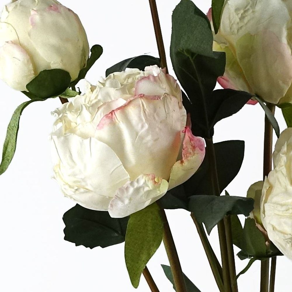 Pack of 6 x 55cm Cream Artificial Peony Stems - 24 Flowers, 18 Buds