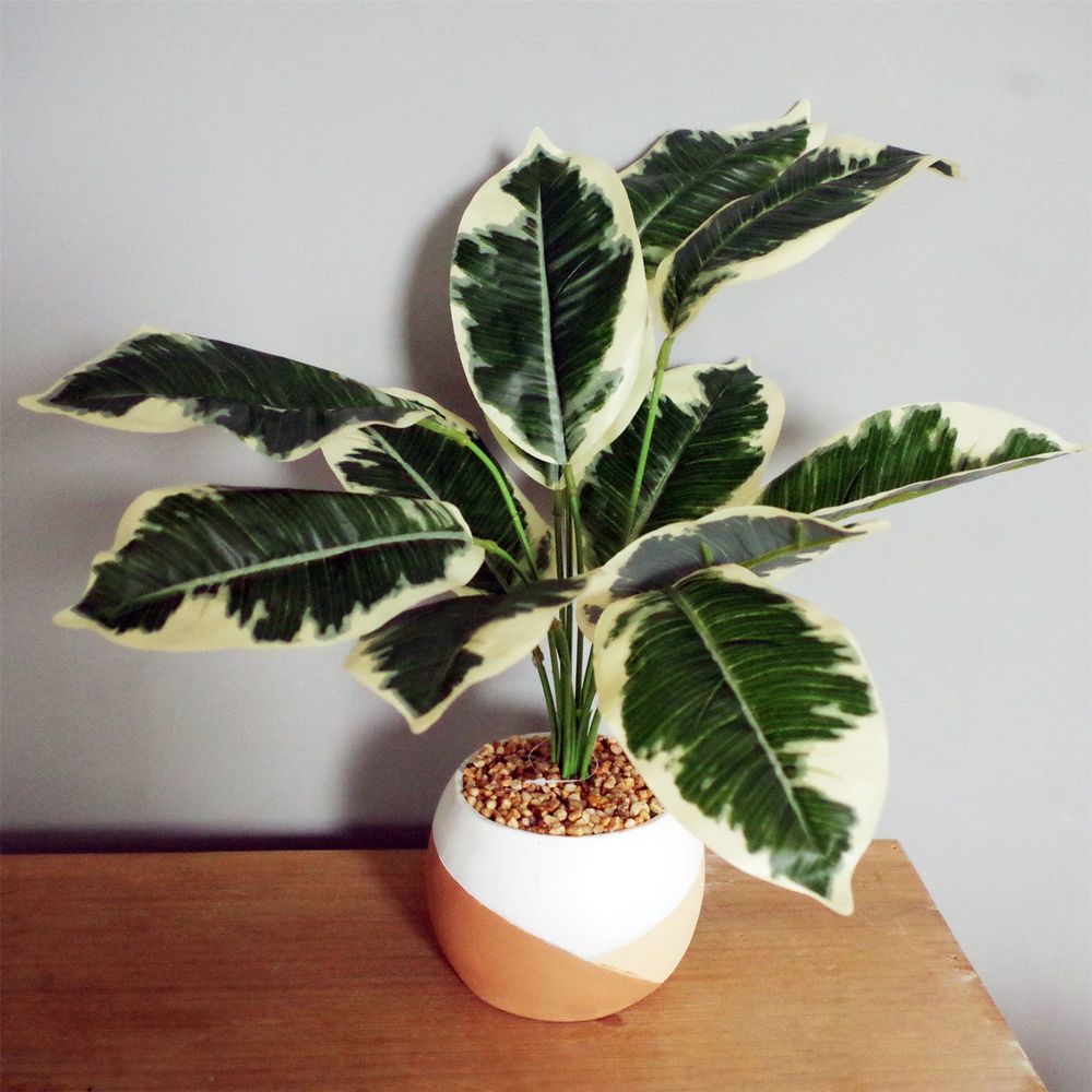 40cm Variegated Pothos Plant Shrub with Planter - Artificial