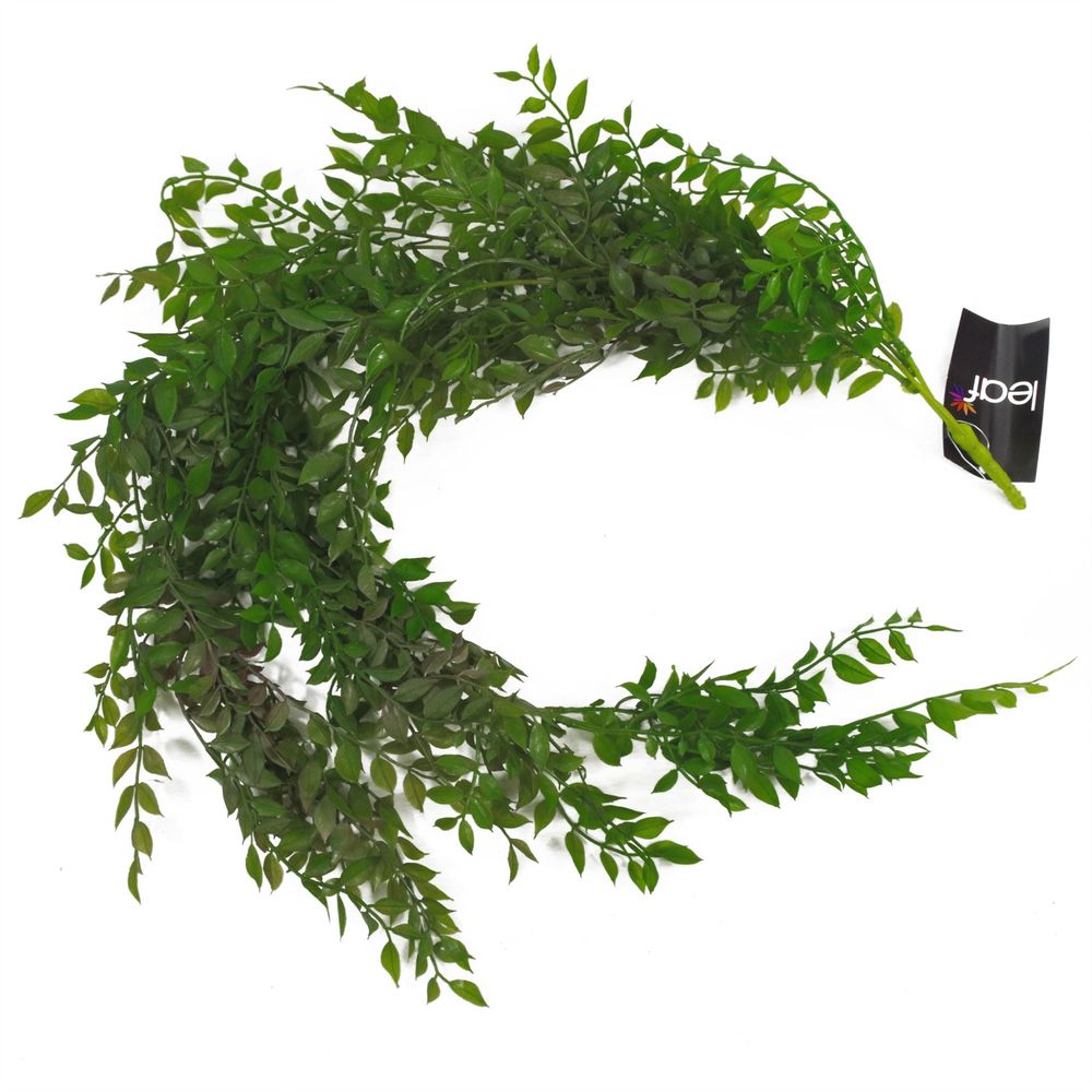 100cm Dark Green Hanging String of Pearls Fern Plant - Realistic Look