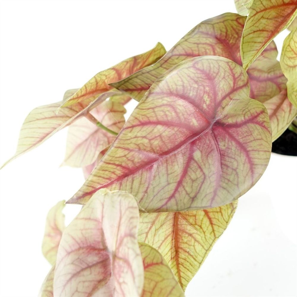 30cm Potted Trailing Pink Caladium Plant - Artificial