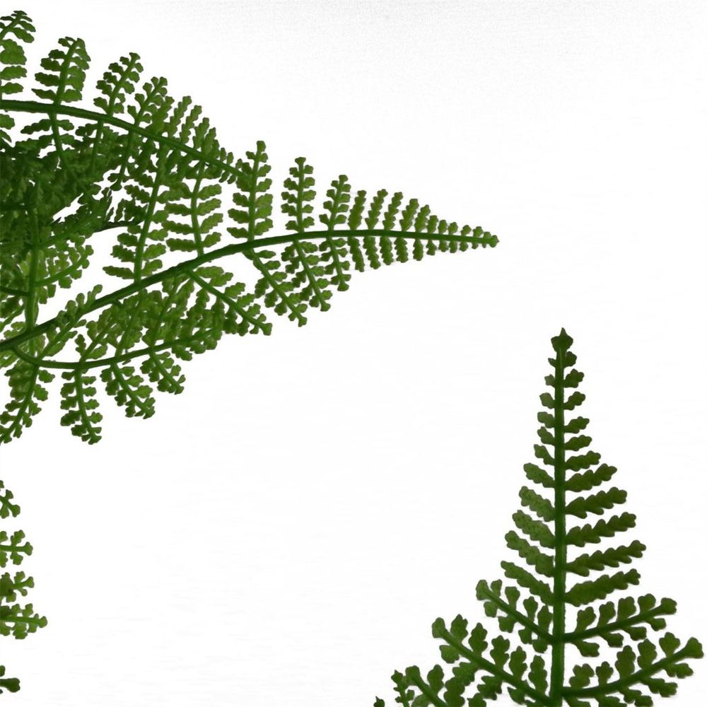 150cm Artificial Fern Plant with Natural Moss Base Foliage