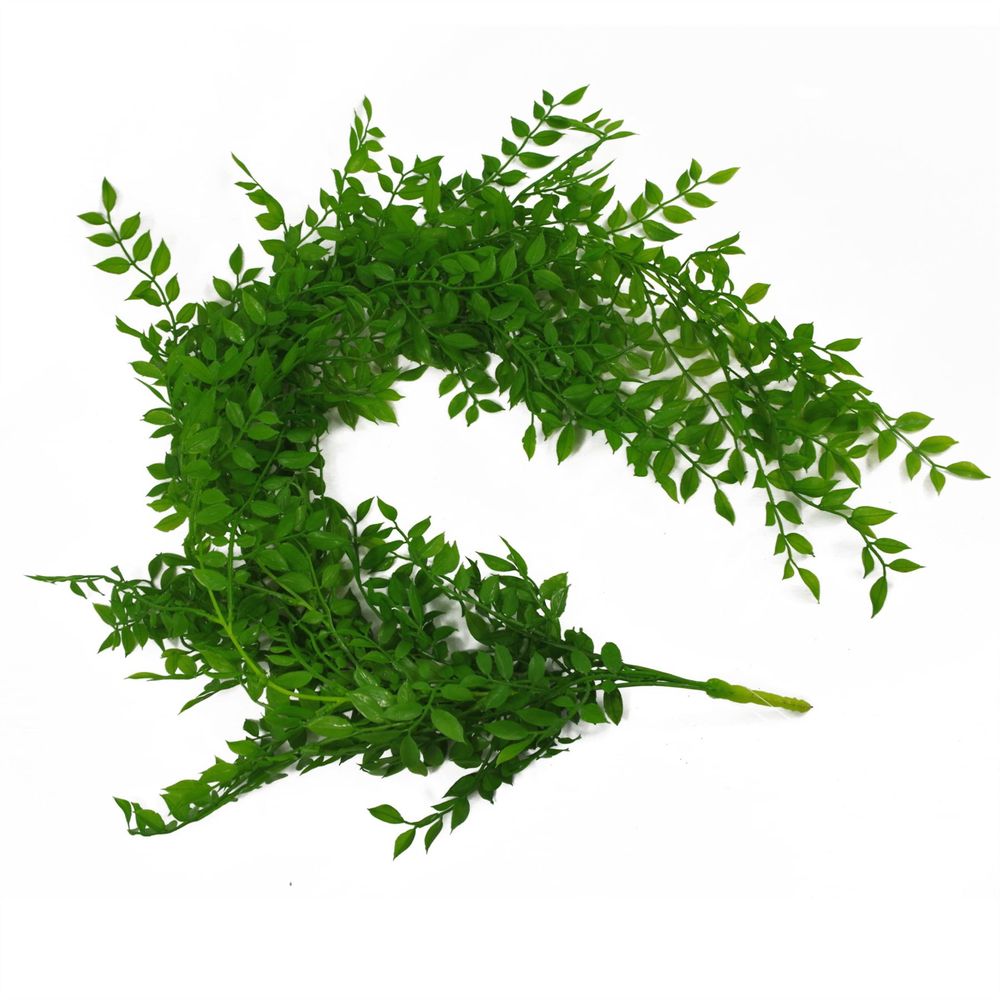 100cm Light Green Hanging String of Pearls Fern Plant - Realistic Look