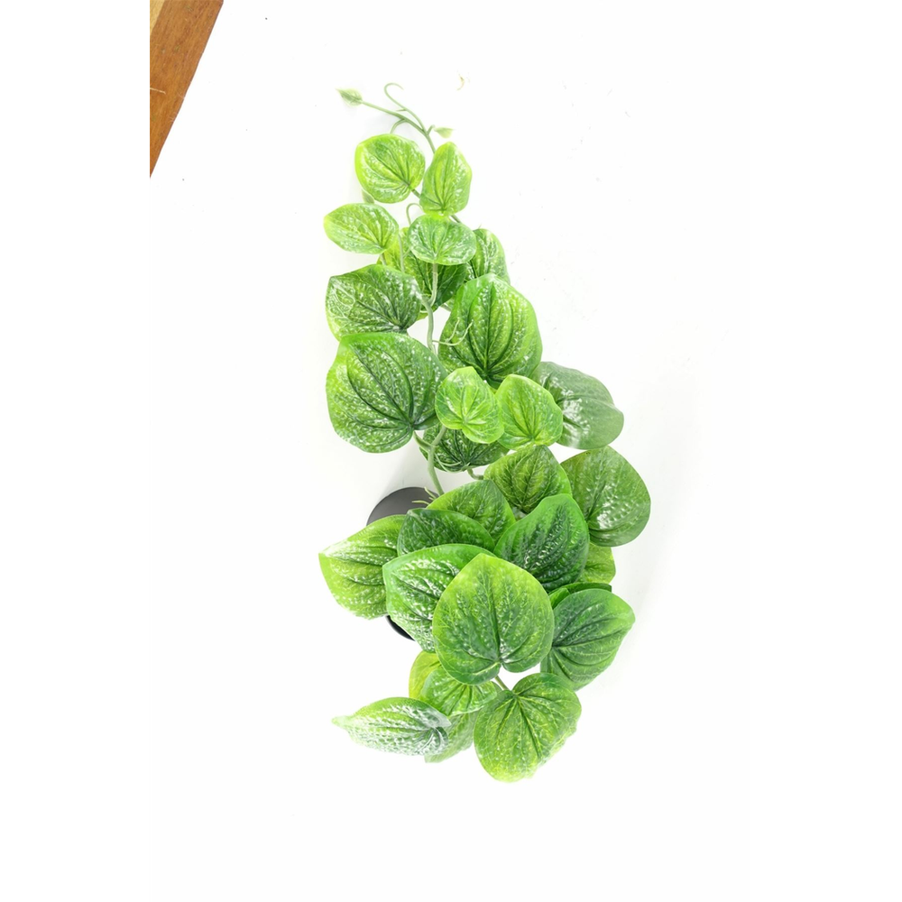 35cm Realistic Artificial Pothos Plant for Hanging Decor with a Natural Trailing Look