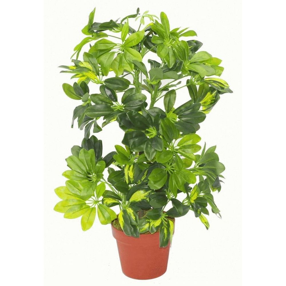 75cm Artificial Gold Capella Arboricola Plant in Gold Metal Planter