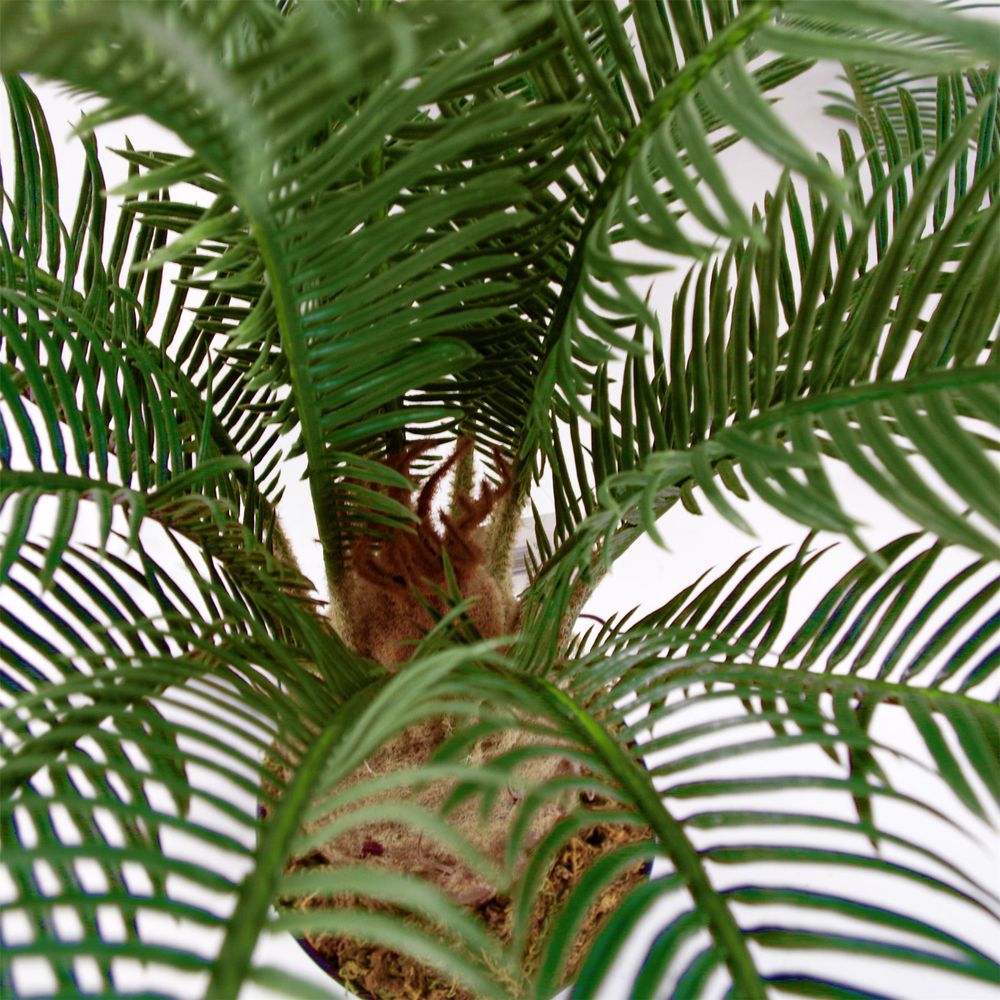 60cm Cycas Palm Plant - Artificial Tropical Tree for Exotic Decor