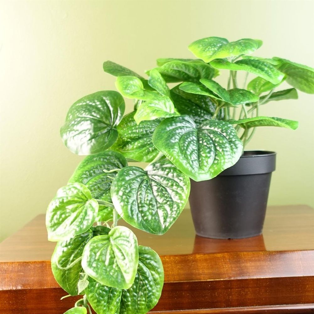 35cm Realistic Artificial Pothos Plant for Hanging Decor with a Natural Trailing Look
