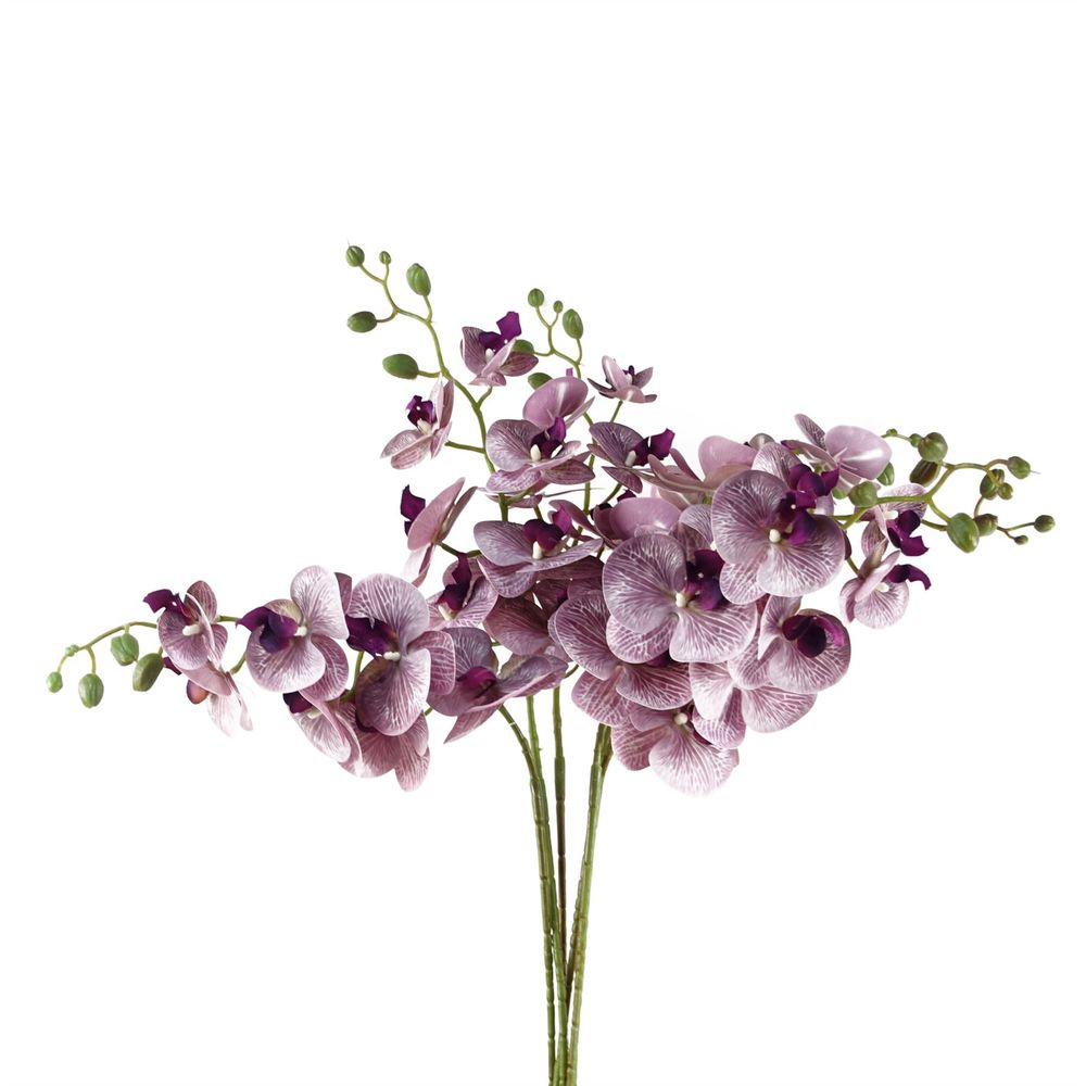 Pack of 6 x 100cm Artificial Purple Phalaenopsis Orchid Stems - 42 Flowers