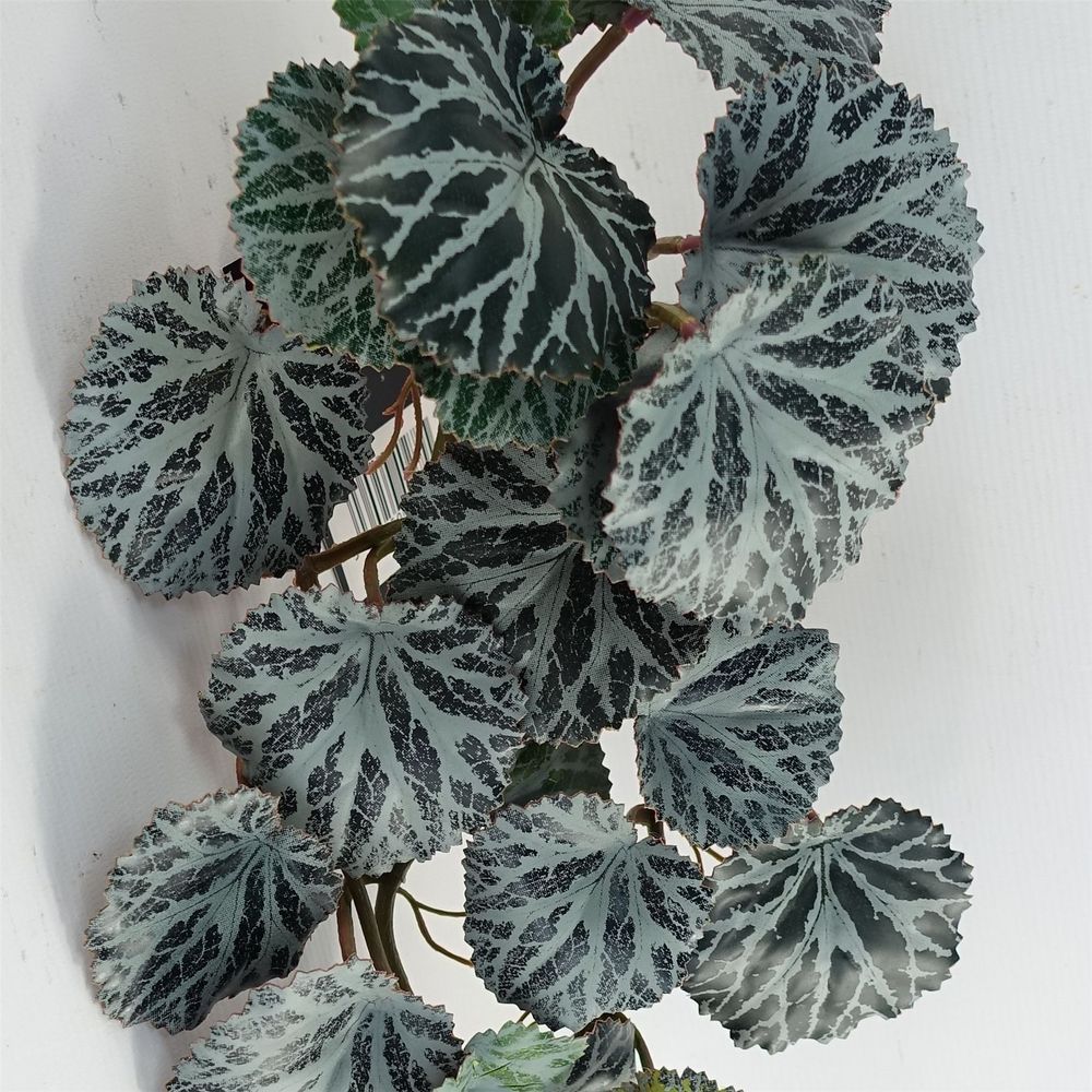 50cm Realistic Trailing Begonia Plant - Artificial