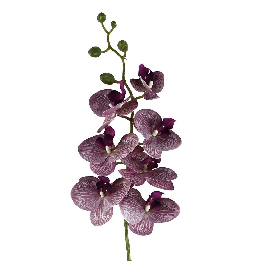 Pack of 6 x 100cm Artificial Purple Phalaenopsis Orchid Stems - 42 Flowers