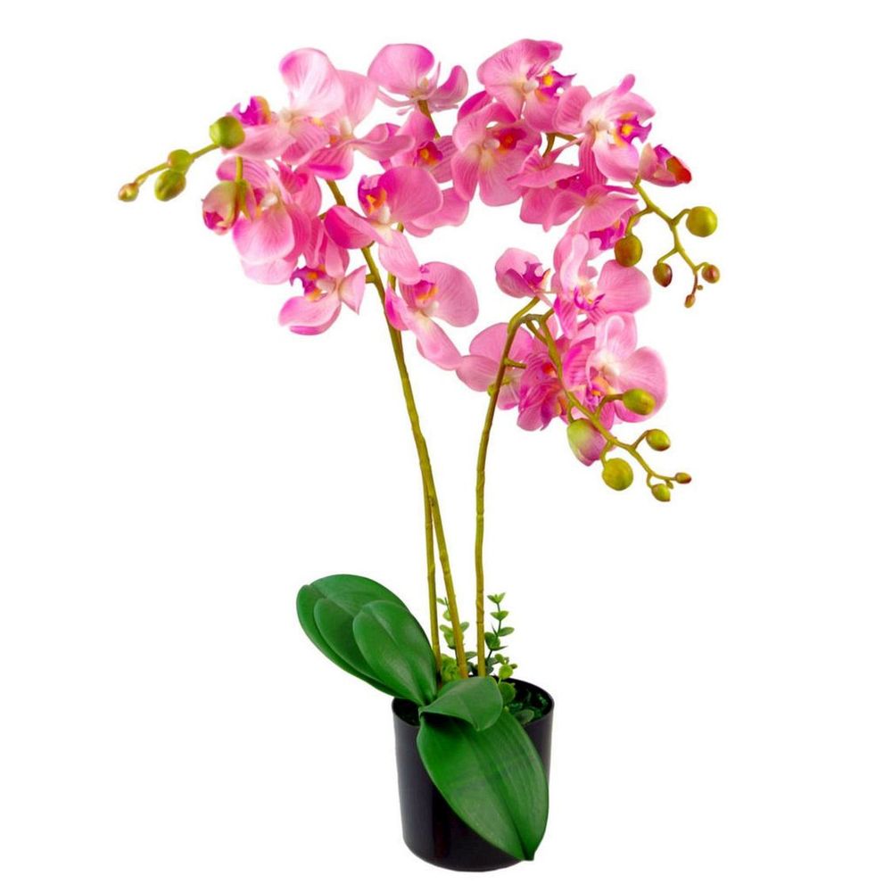 60cm Realistic Artificial Orchid Flower Display in Pot