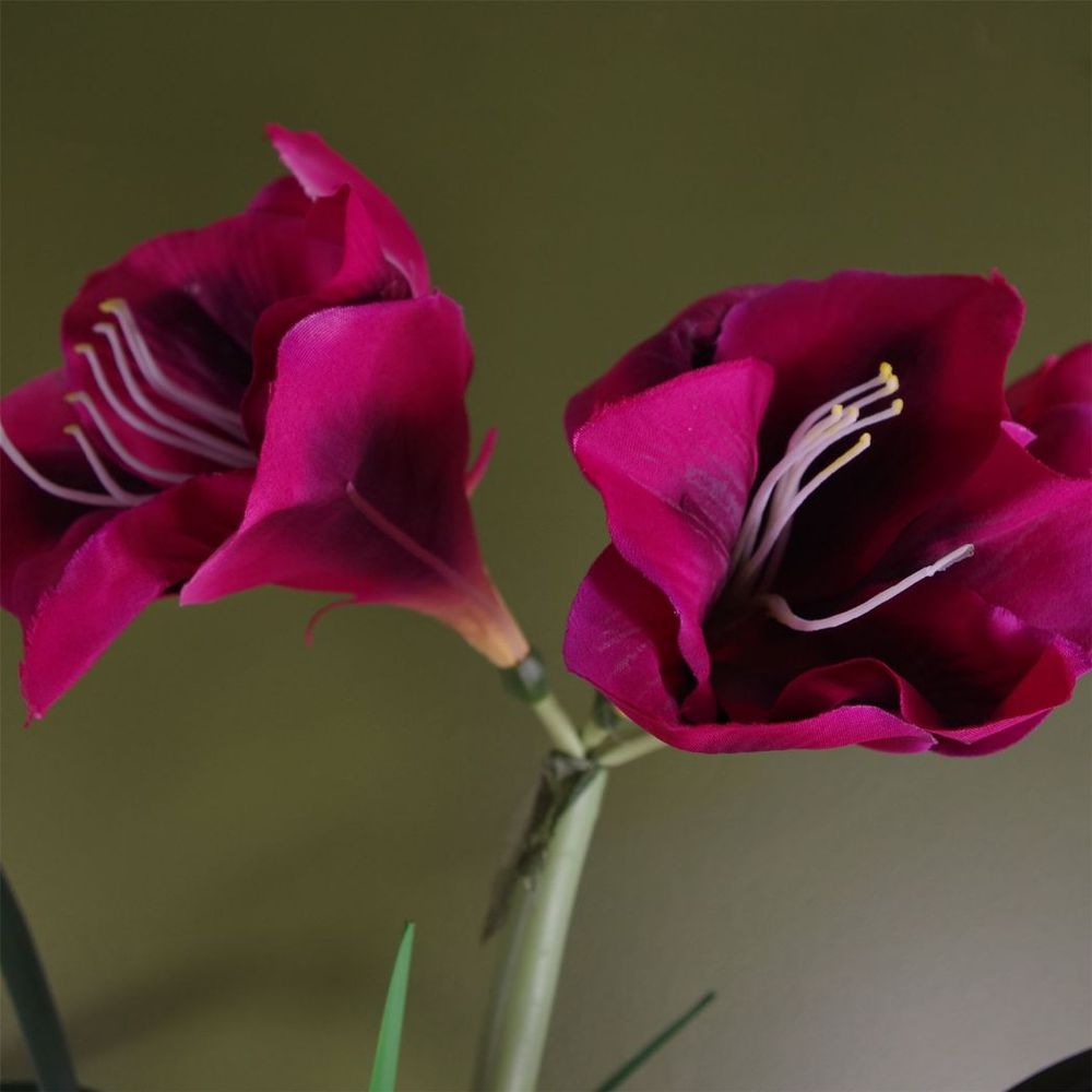 Pink Artificial Amaryllis Flowering Plant