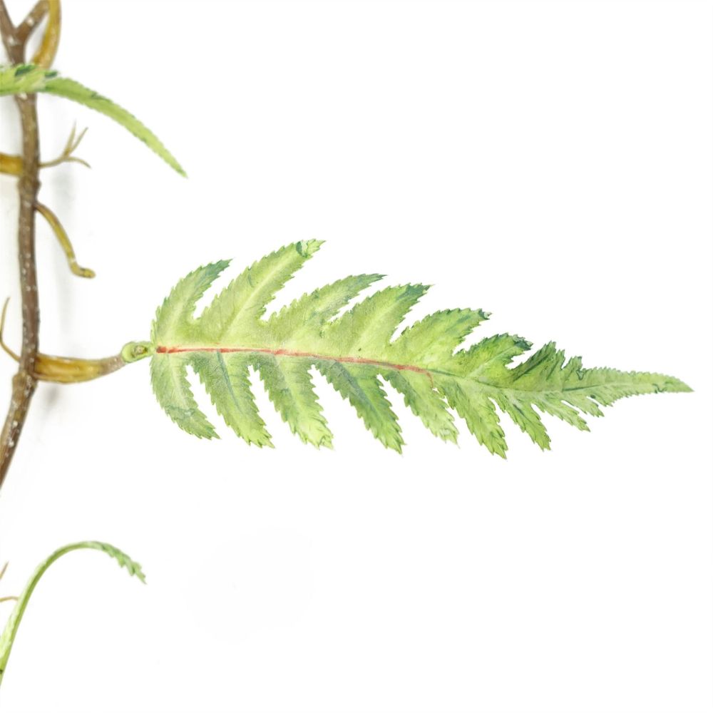 Set of 6 x 125cm Artificial Hanging Trailing Fern Plants