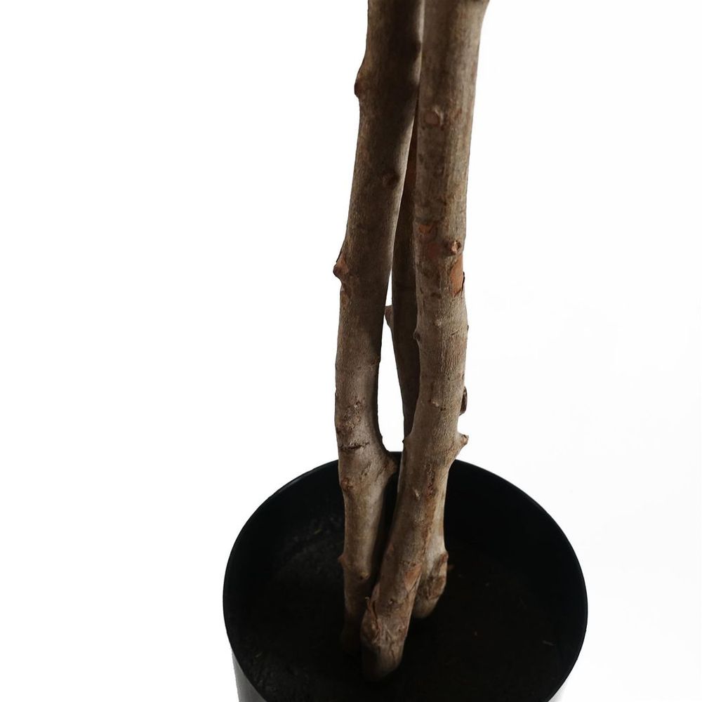 60cm Artificial Forsythia Tree, Lifelike and Bright