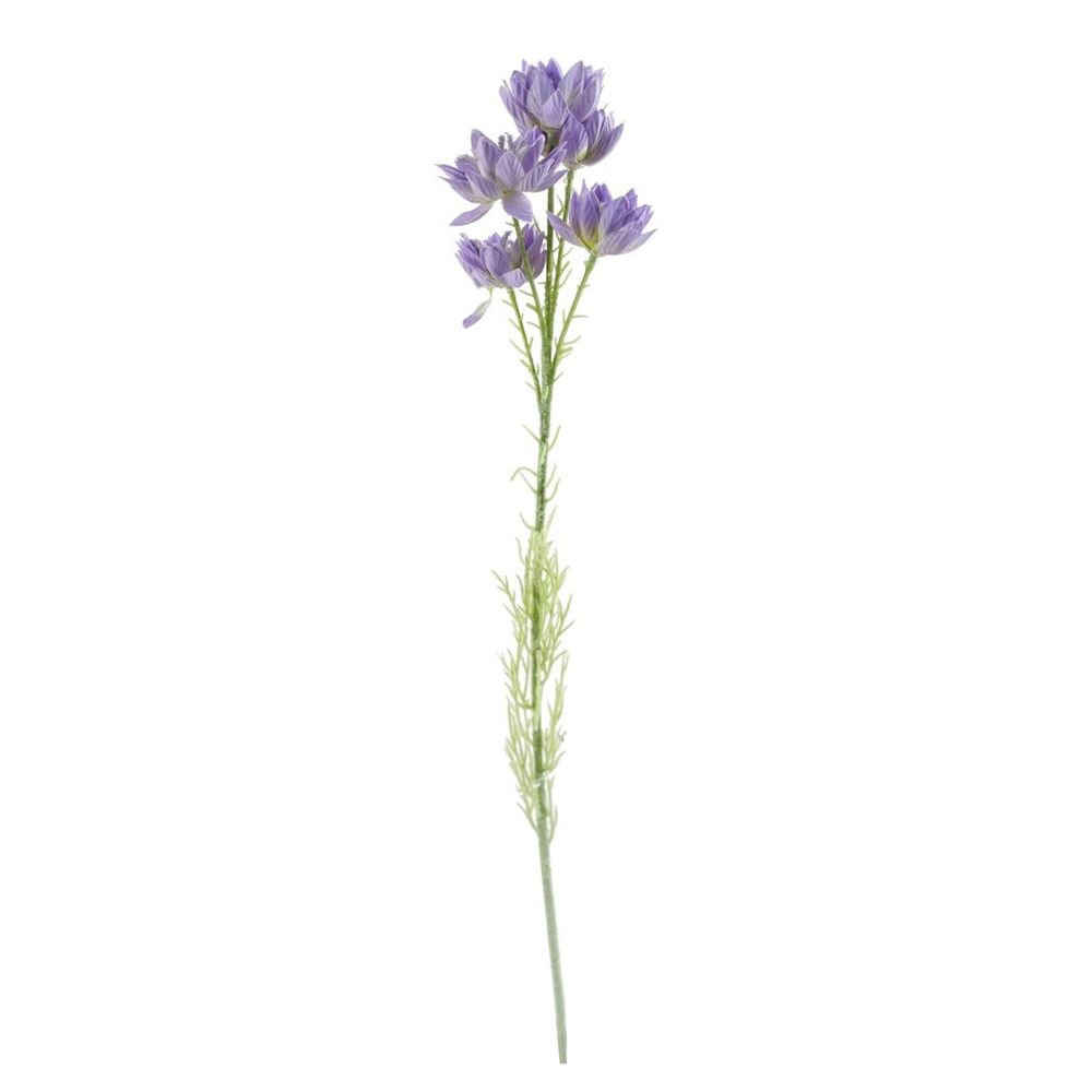 Pack of 6 x 60cm Purple Starflower Stems - 30 Flowers