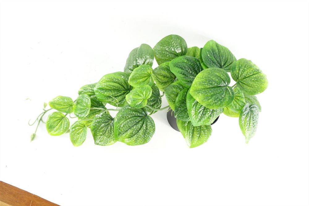 35cm Artificial Potted Green Trailing Pothos Plant