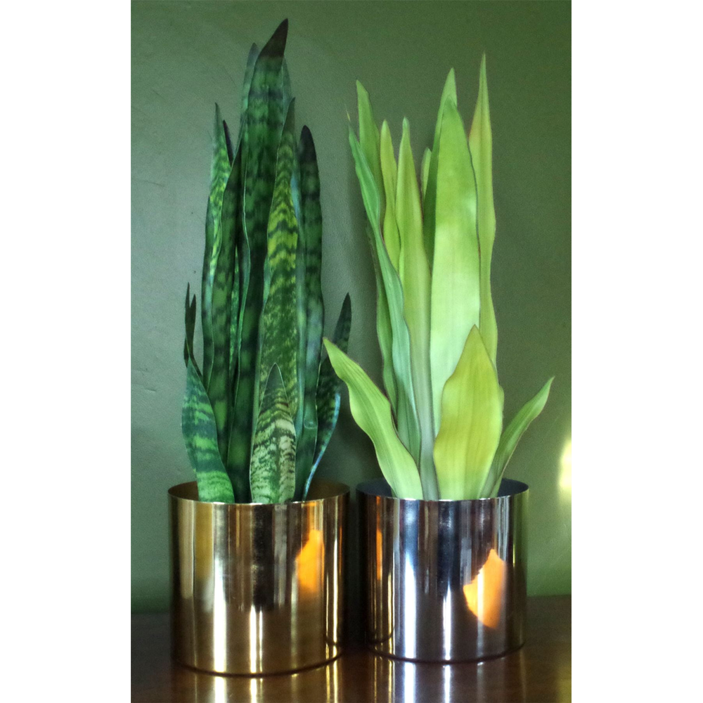 70cm Artificial Sansevieria Zeylanica Plant for Elegant Home Styling