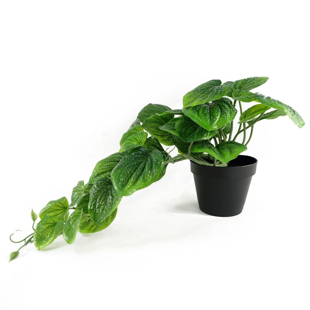 35cm Artificial Potted Green Trailing Pothos Plant