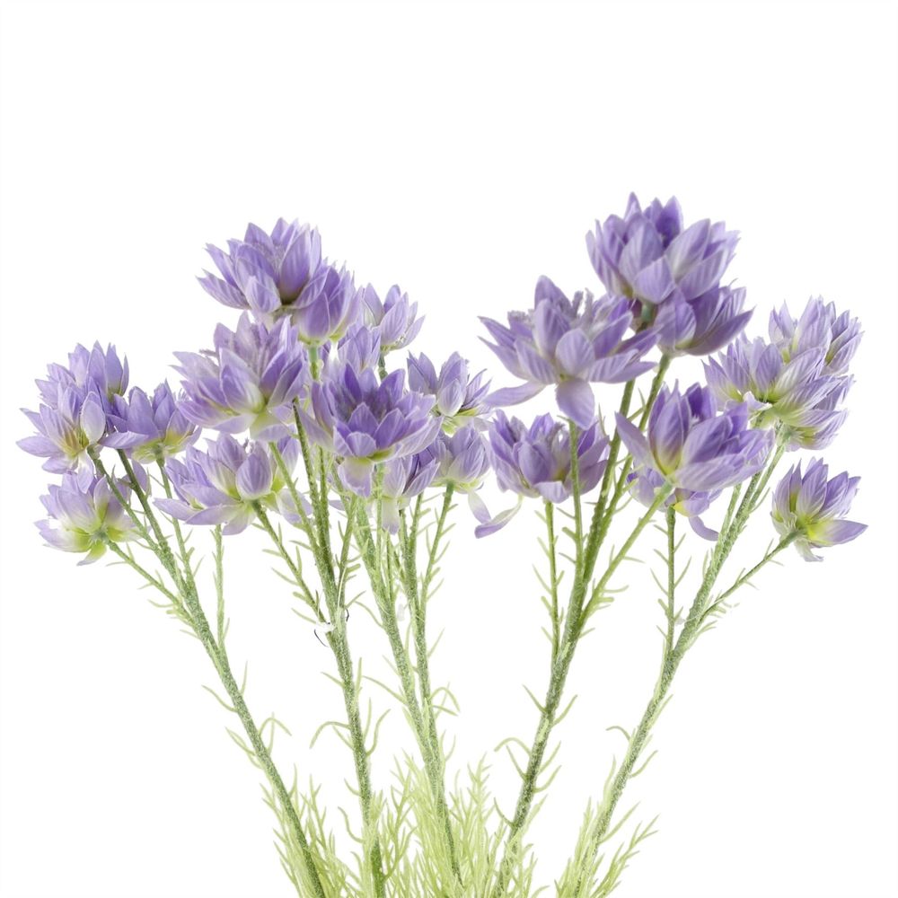 Pack of 6 x 60cm Purple Starflower Stems - 30 Flowers