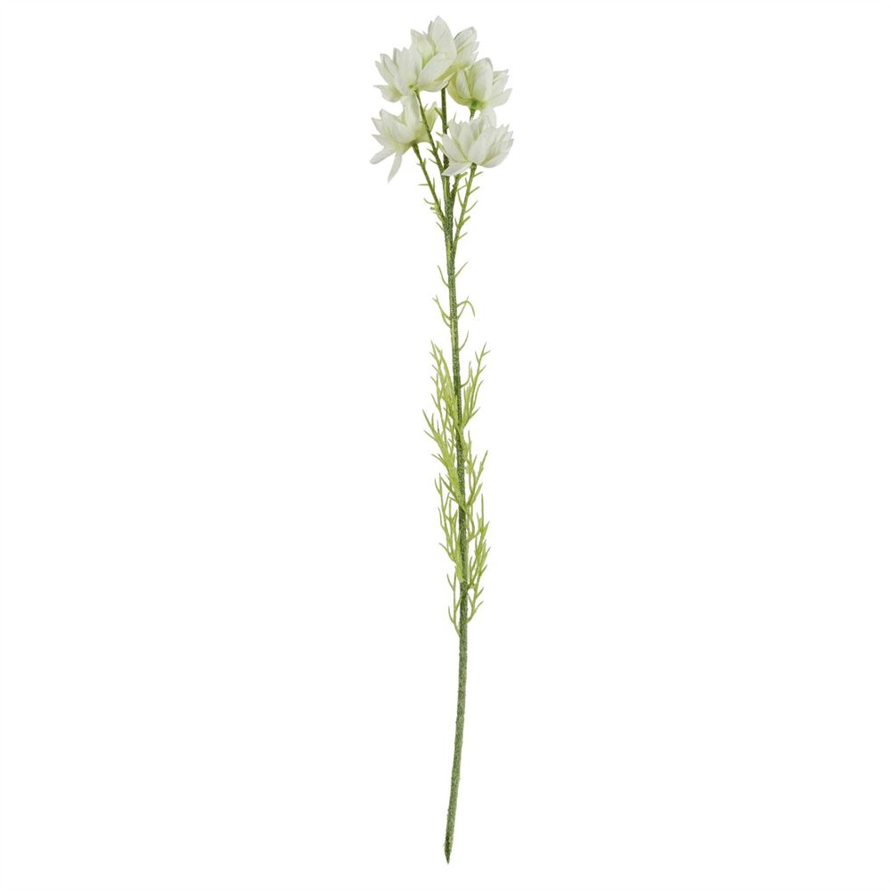 Pack of 6 x 60cm White Starflower Stems - 30 Flowers