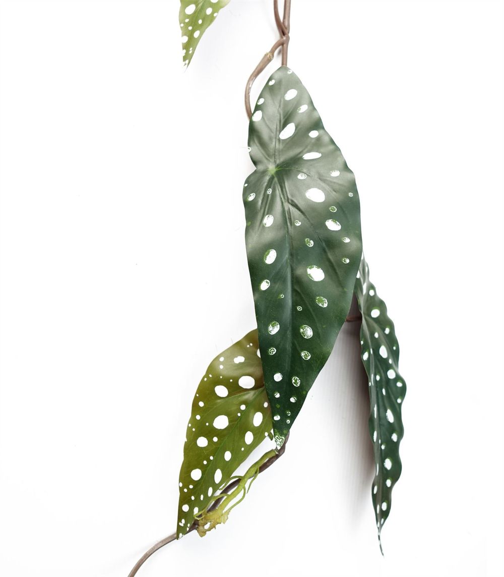 Set of 6 x 110cm Artificial Hanging Begonia Maculata - Spotted Design