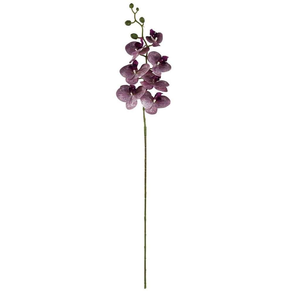 Pack of 6 x 100cm Artificial Purple Phalaenopsis Orchid Stems - 42 Flowers