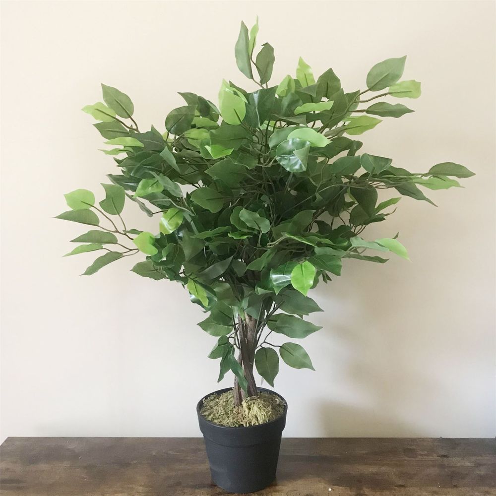 60cm Artificial Ficus Tree Plant - Large Bushy Design for Lush Indoor Decor