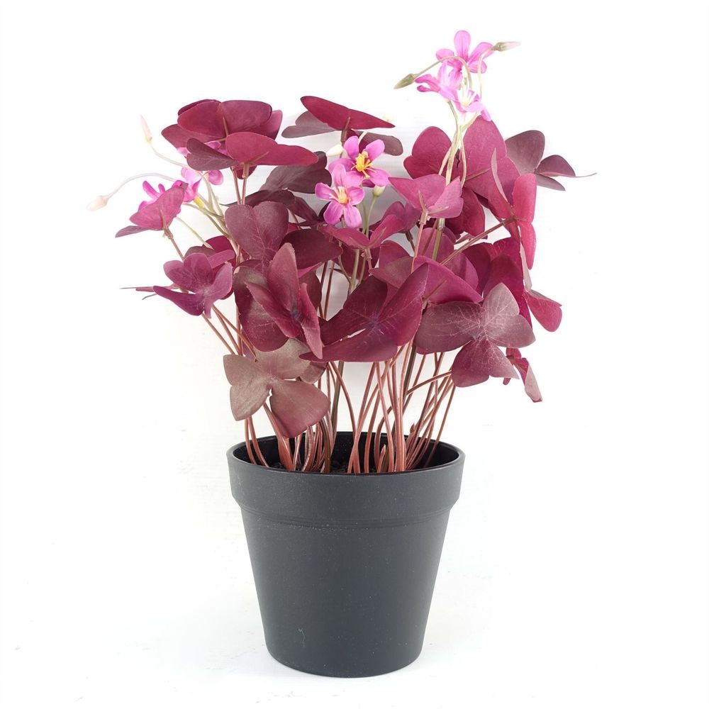 30cm Realistic Purple Shamrock Potted Plant with Pink Flowers