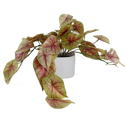 30cm Potted Trailing Pink Caladium Plant - Artificial