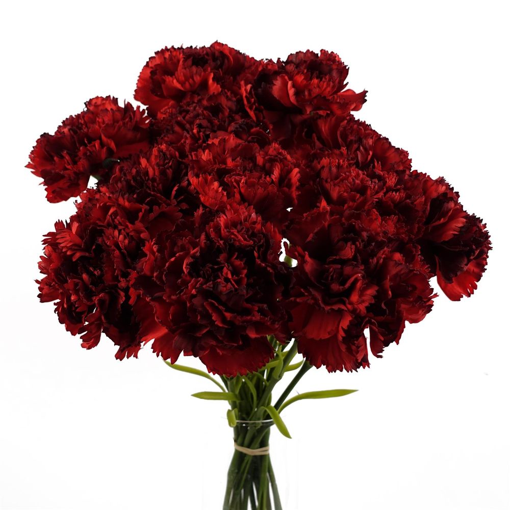 12 x Artificial Red Carnation Flowers