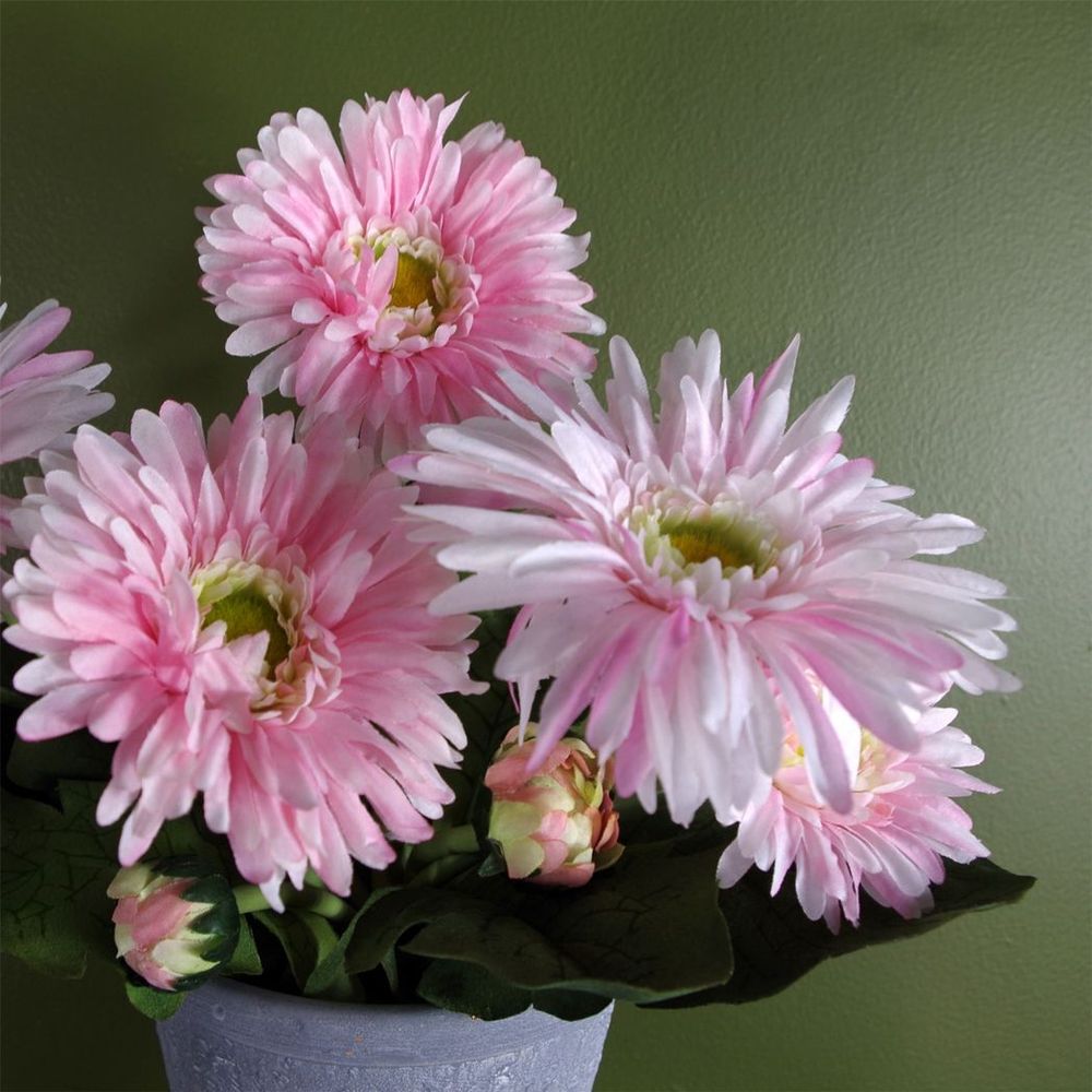 Pink Artificial Daisy Flowering Plant in Pot