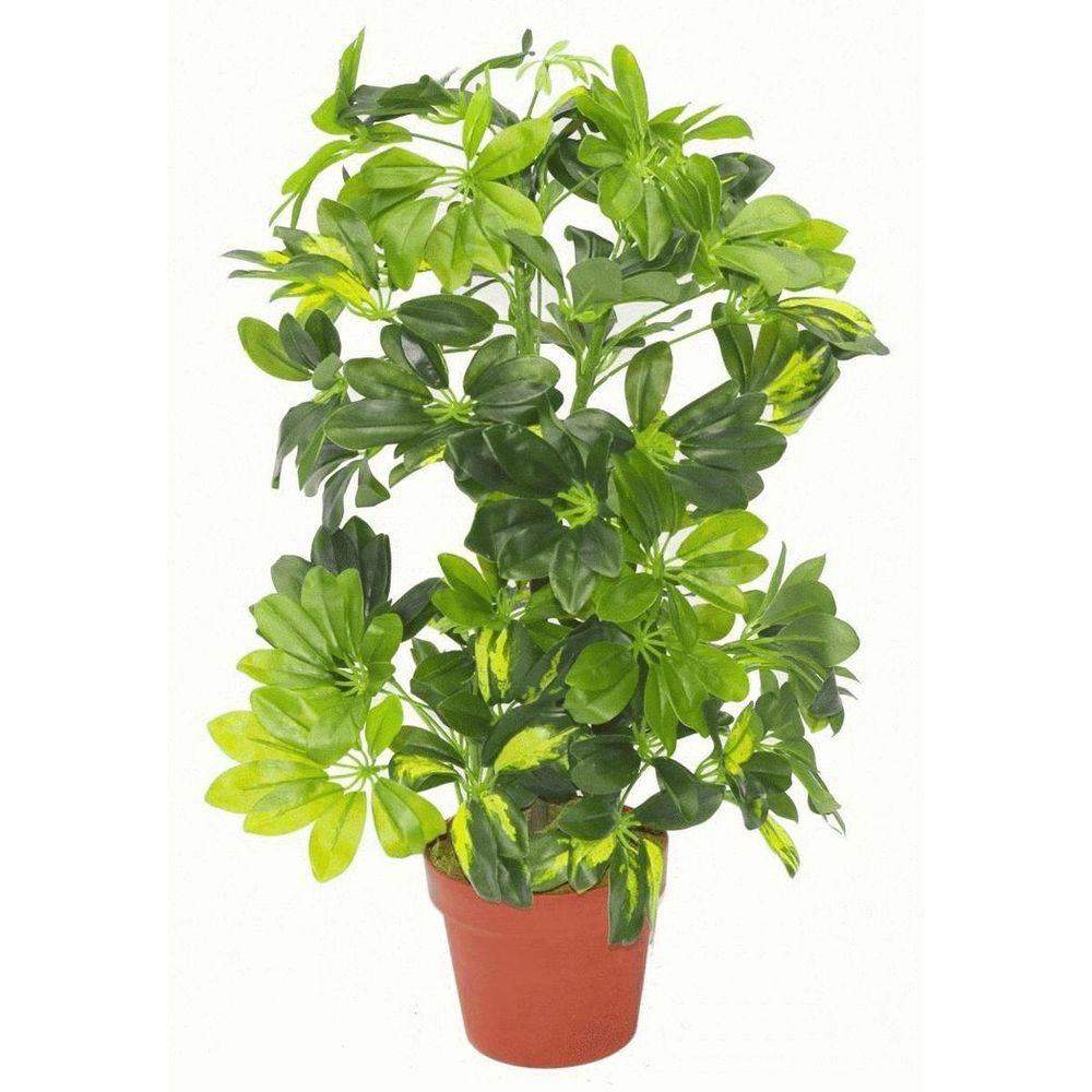 75cm Artificial Arboricola Gold Capella Plant in Stylish Silver Metal Planter Included