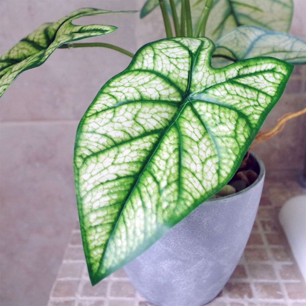 40cm Artificial Taro Plant in Decorative Planter