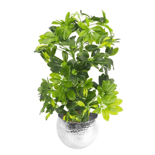 75cm Artificial Gold Capella Arboricola Plant in Silver Metal Planter