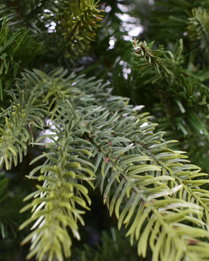 7.5ft Minnesota Pine Artificial Christmas Tree - Ideal for Festive Cheer
