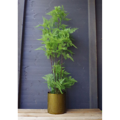 150cm Artificial Fern Plant with Natural Moss Base Foliage