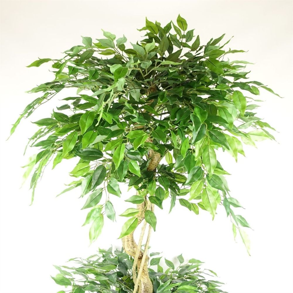 180cm Artificial Twisted Trunk Fruticosa Ficus Tree - Triple Ball Topiary - 1984 Leaves