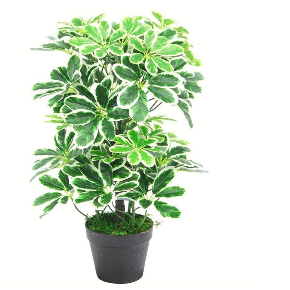 55cm Variegated Artificial Schefflera Arboricola Plant for Stylish Decoration