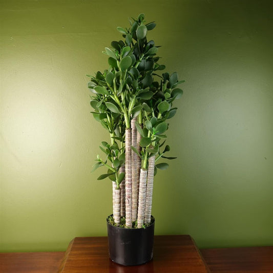 75cm Deluxe Artificial Green Jade Plant