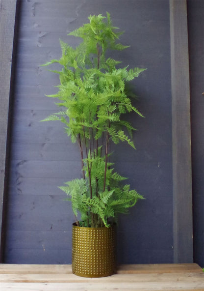 150cm Artificial Fern Plant with Natural Moss Base - Lifelike Design