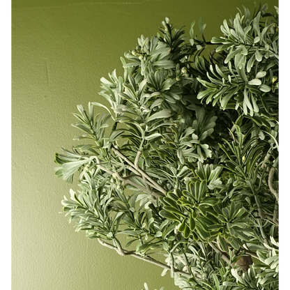 Artificial Evergreen Shrub Plant - Artemisa